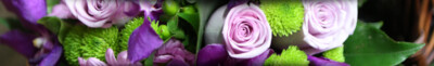 internal-header2